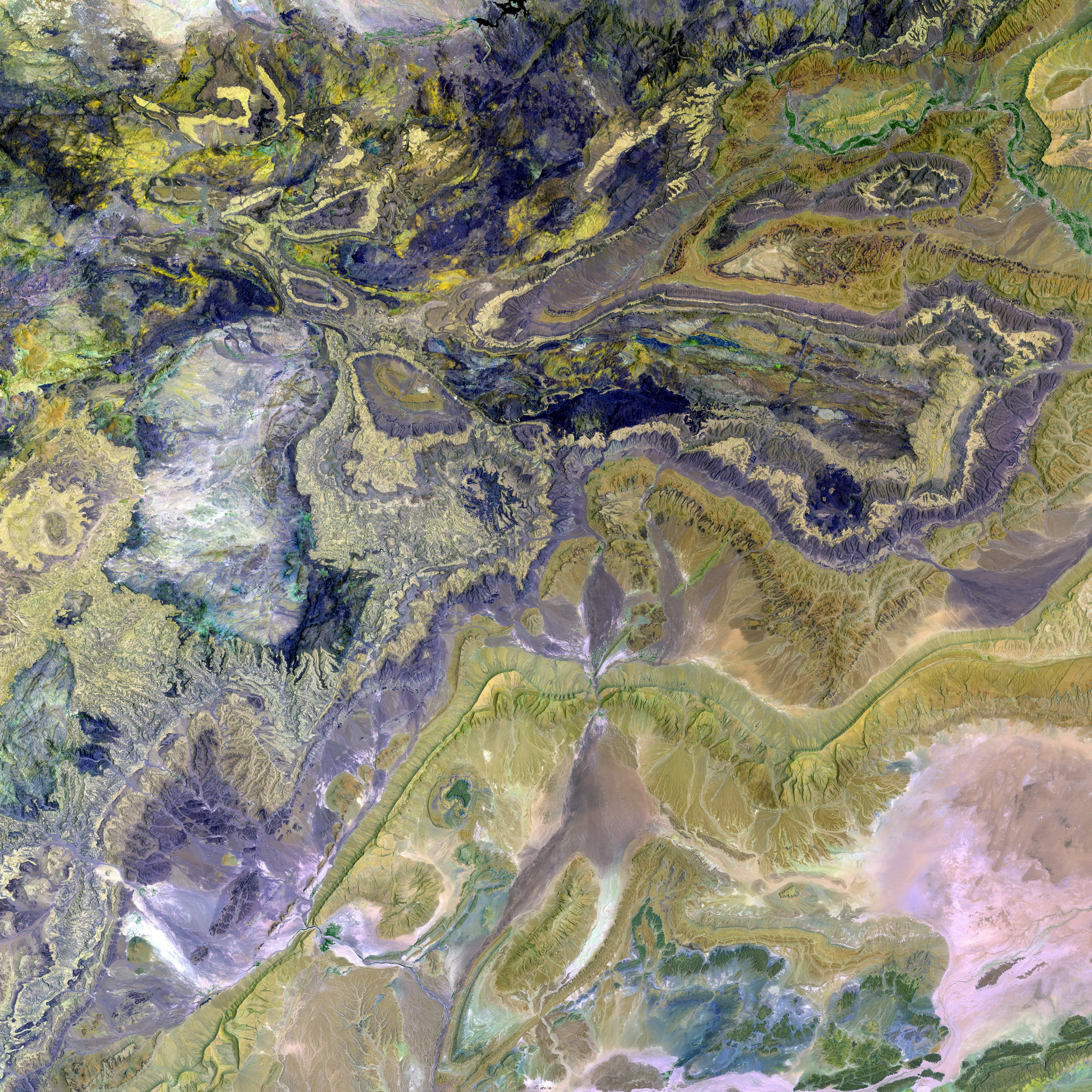 In the realm of Romain Potocki, there exists an assemblage of asphalt and blossoms, a harshly golden-toothed orphan, a terminally ill mother, and a quirky librarian brimming with human empathy. This is the setting for Potocki's world.